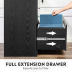 GALAXHERO 2-Drawer Wood Lateral File Cabinet with Lock for Home Office, Black