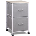 GALAXHERO Filing Cabinet 2 Drawer Mobile Printer Stand for Home Office, Rolling Fabric Vertical File Cabinet, Fits A4 or Letter Size, Black